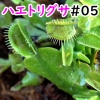 Thumbnail of post image 087