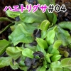 Thumbnail of post image 165