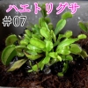 Thumbnail of post image 030
