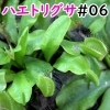 Thumbnail of post image 165