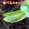 Thumbnail of post image 024
