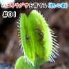Thumbnail of post image 186