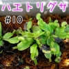 Thumbnail of post image 004