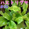 Thumbnail of post image 067