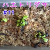 Thumbnail of post image 027